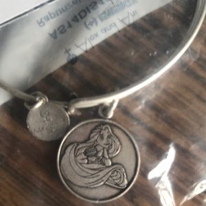 Alex and Ani Disney Tangled